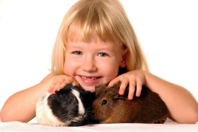 accessoires-rongeurs-agri-animaux