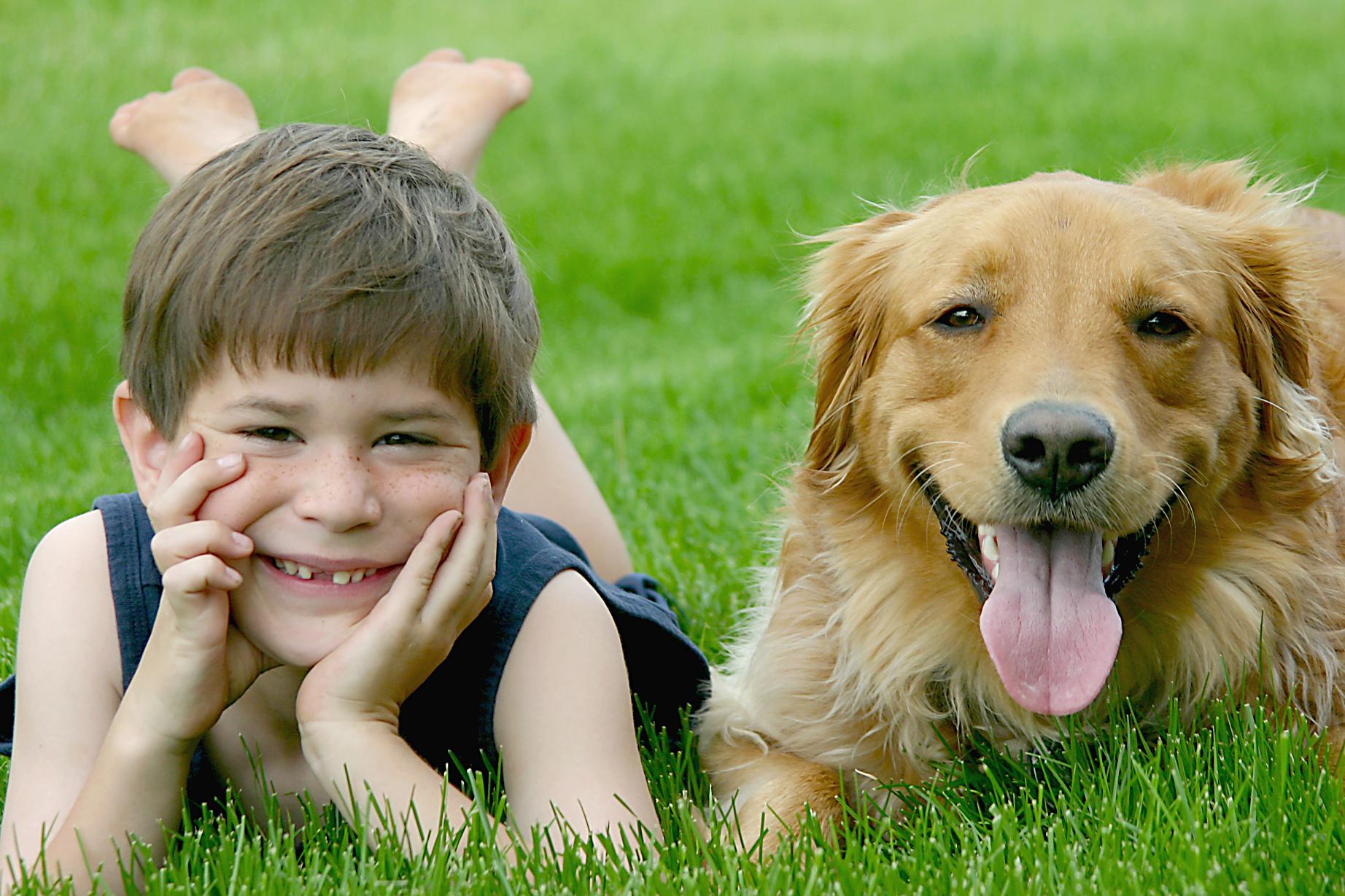 Maman je veux un chien !&#8230; Votre enfant vous demande un animal de compagnie