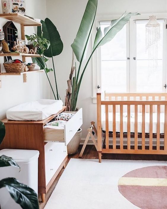 chambre de bébé avec une grande plante haute