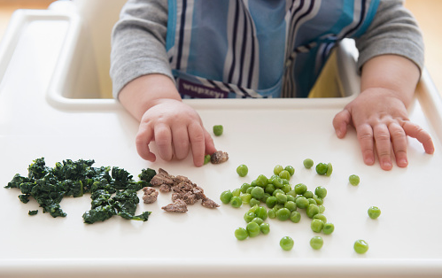 Introduire la viande dans l&rsquo;alimentation de bébé