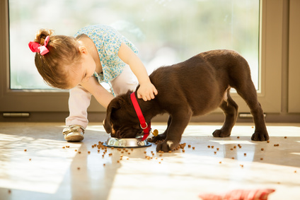 Quel chiot avec un bébé ?