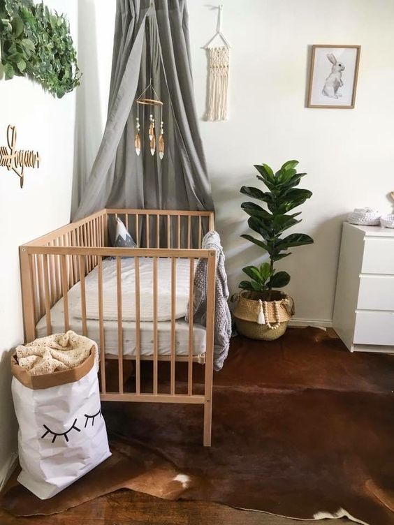 chambre de bébé avec une plante
